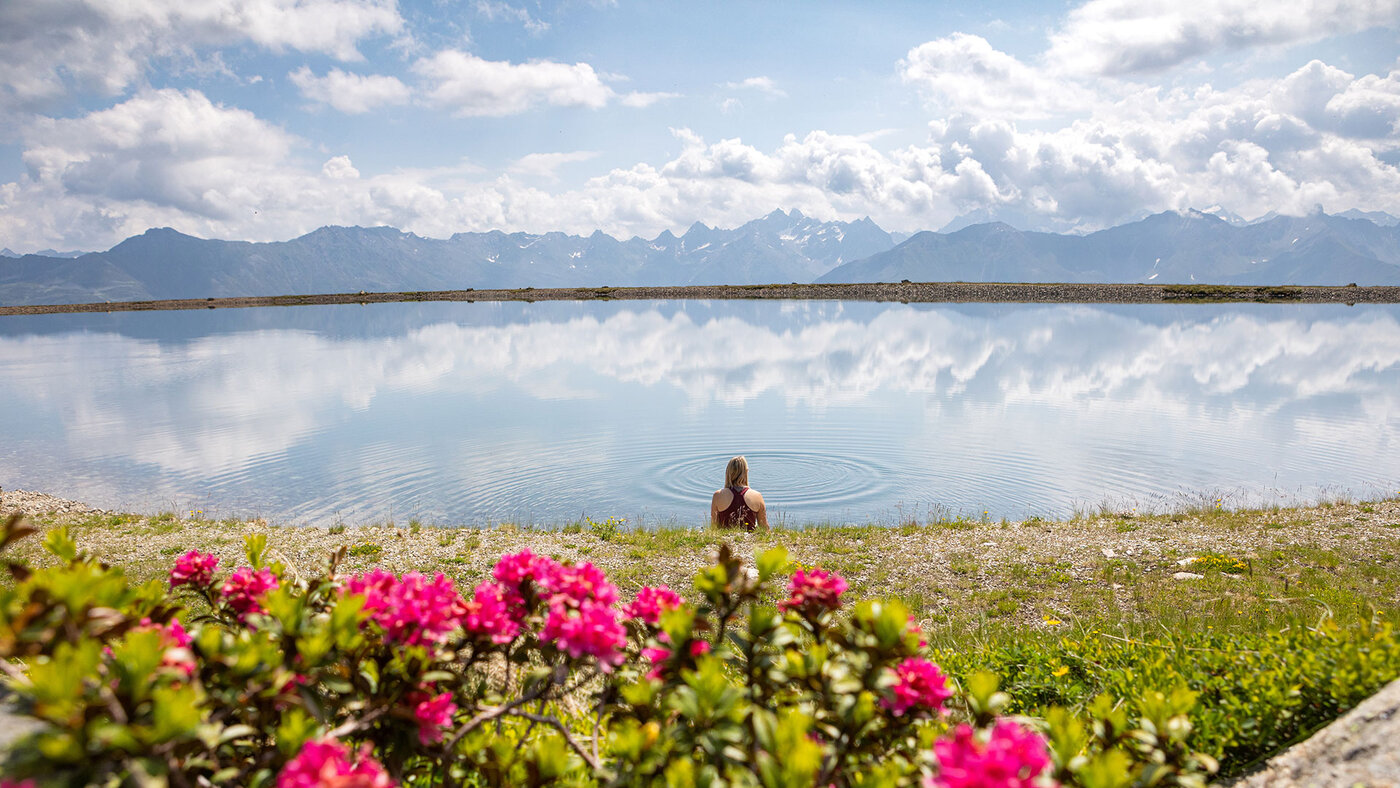Blumen und Gras im Vordergrund am ruhigen Wolfsee in den Alpen.