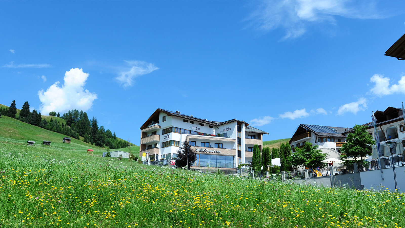 Apart Rubin auf einer grünen Wiese vor blauem Himmel in alpiner Umgebung.