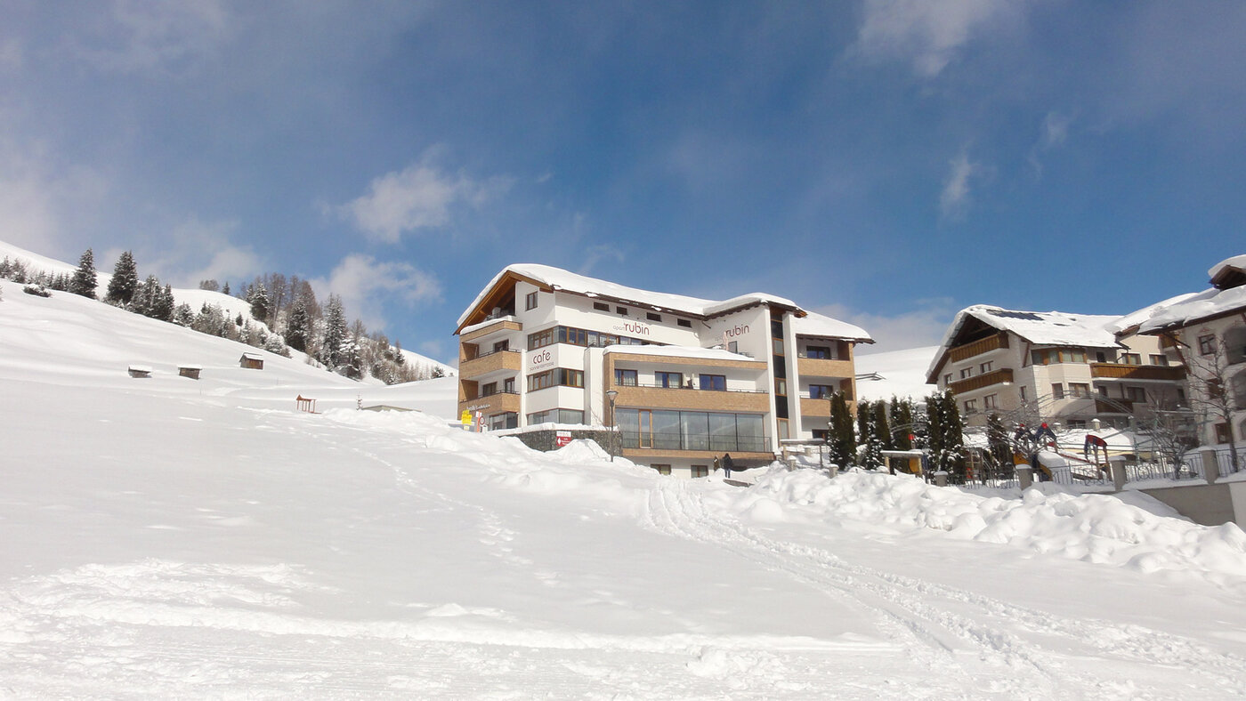 Apart Rubin in verschneiter Winterlandschaft mit Blick auf die Berge.